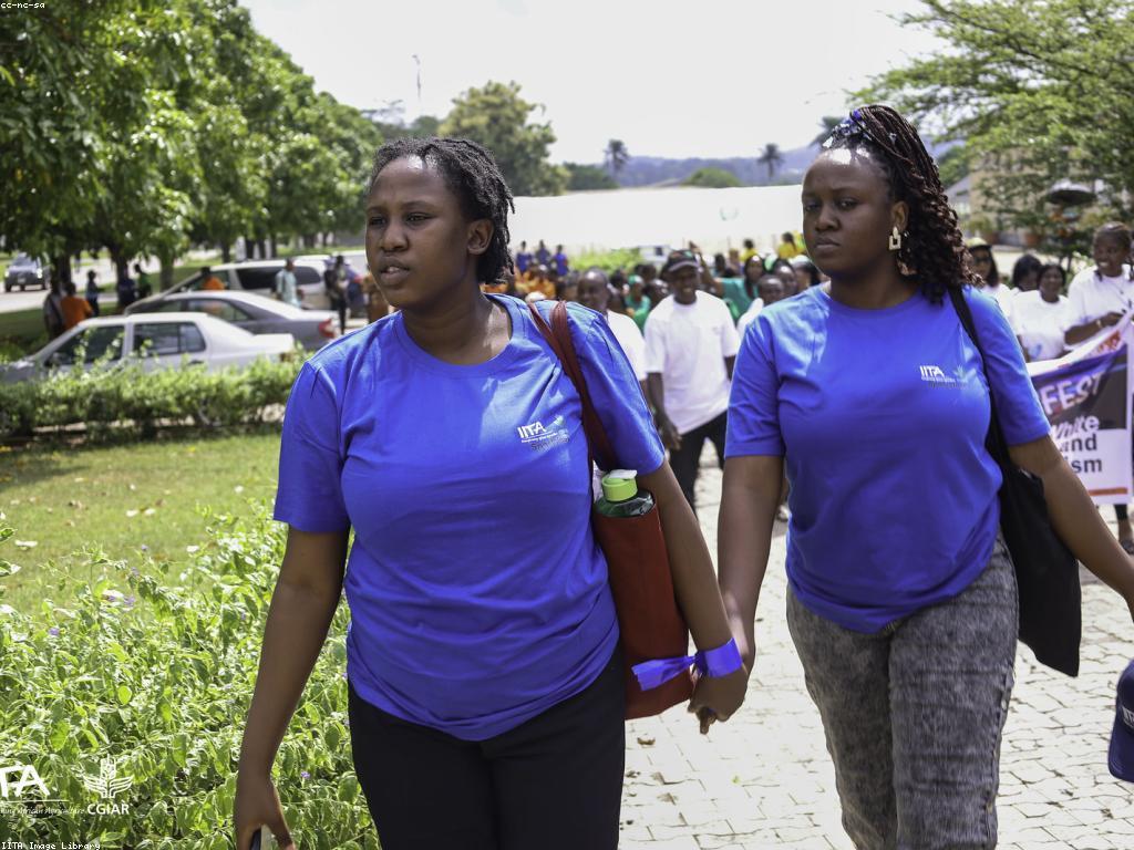 ចំណេះដឹងអំពីវប្បធម៌កាស៊ីណូ