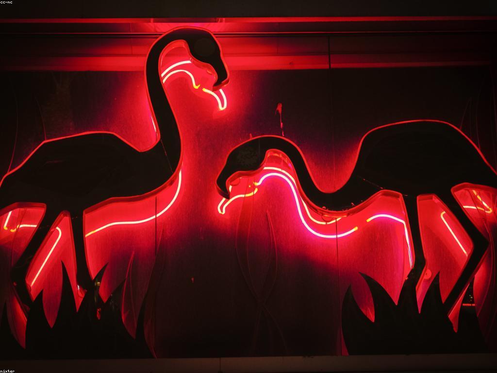 ផលប៉ះពាល់នៃការបោះពុម្ភកាស៊ីណូ