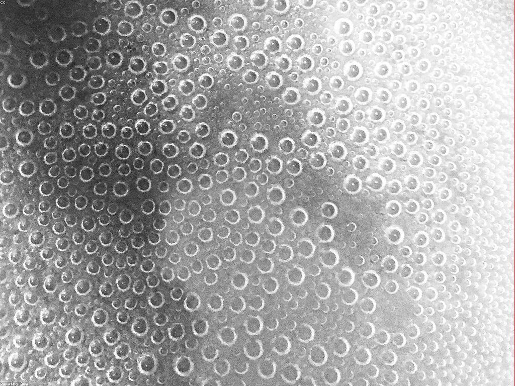 កម្មវិធីសង្ឃឹម: របៀបស្វែងរកសុខសាន្តខាងក្នុង