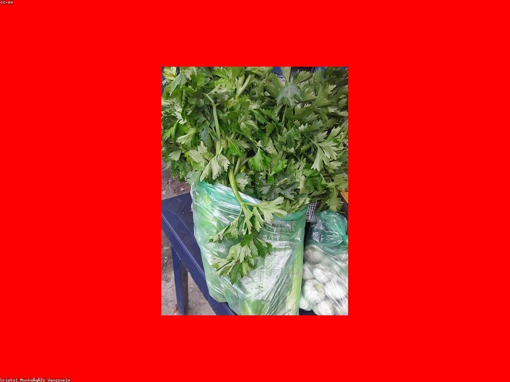 យុទ្ធសាស្ត្រសម្រាប់កម្មវិធីសង្ឃឹម